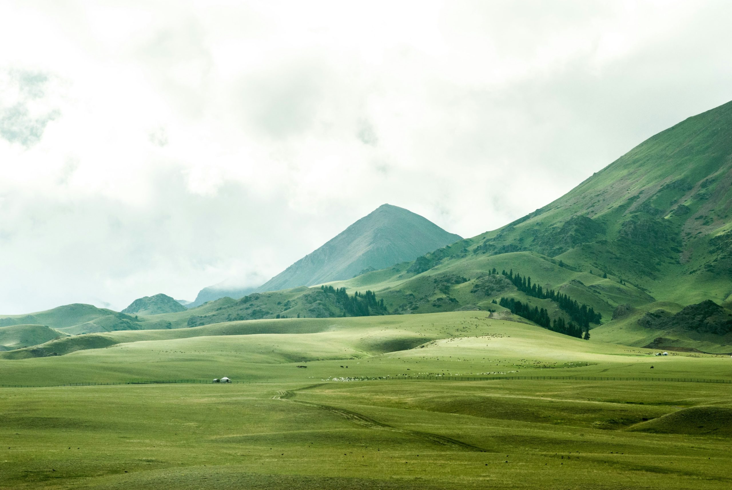 jeremy-cai-ucYWe5mzTMU-unsplash-1-scaled
